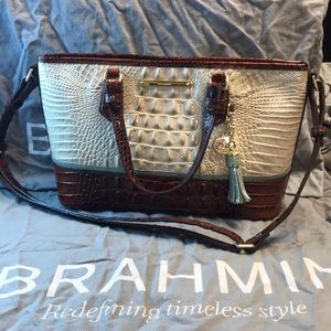Brahmin Mini Asher TriColor